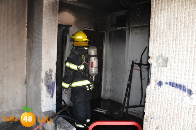 fireshekonatelarab (21).JPG